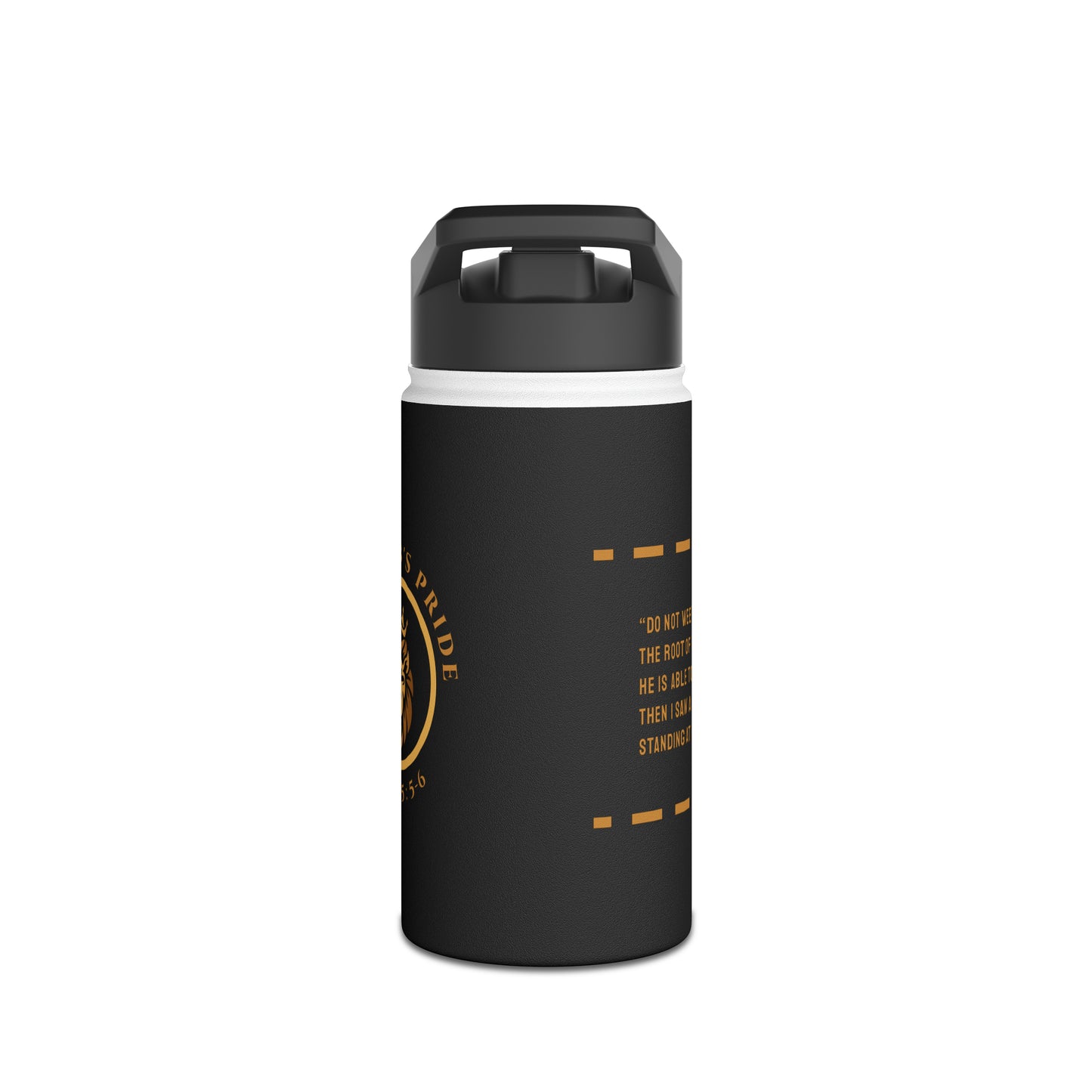 Stainless Steel Water Bottle, Standard Lid