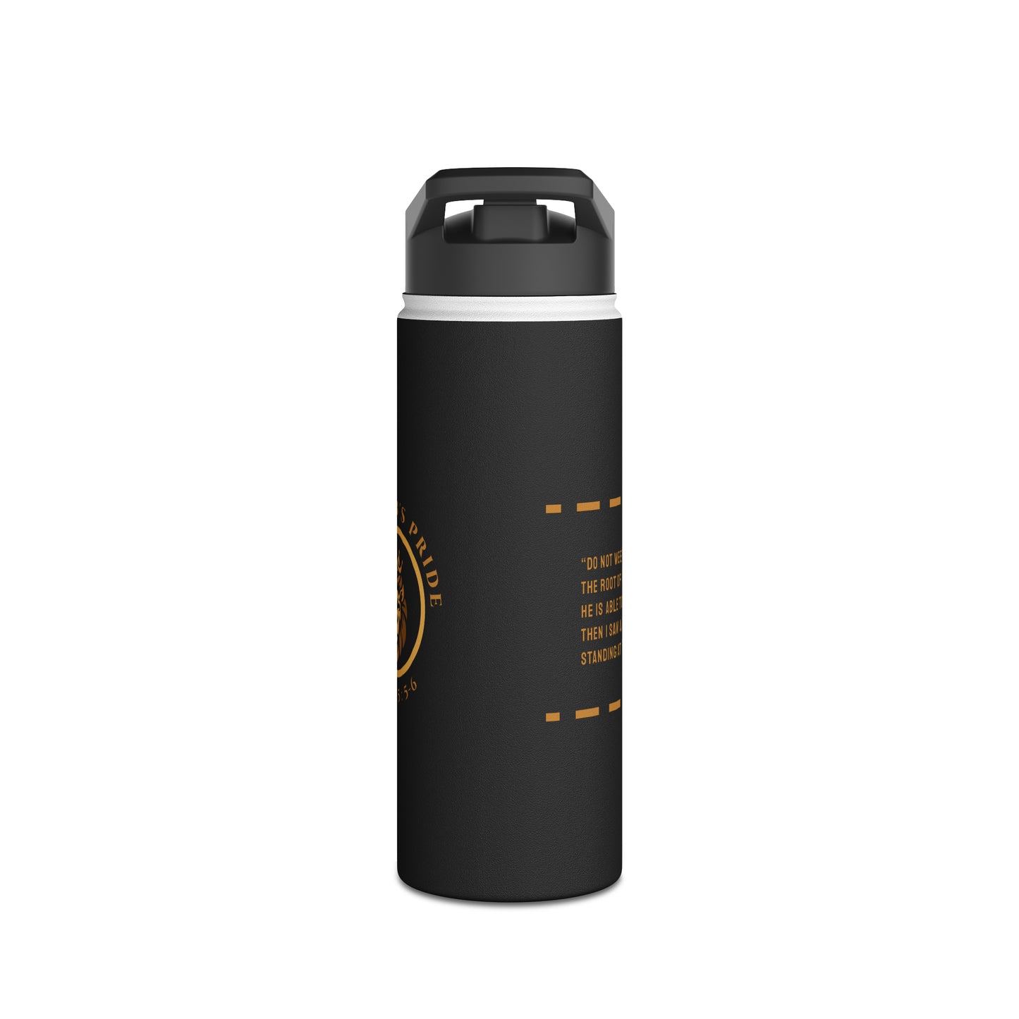 Stainless Steel Water Bottle, Standard Lid