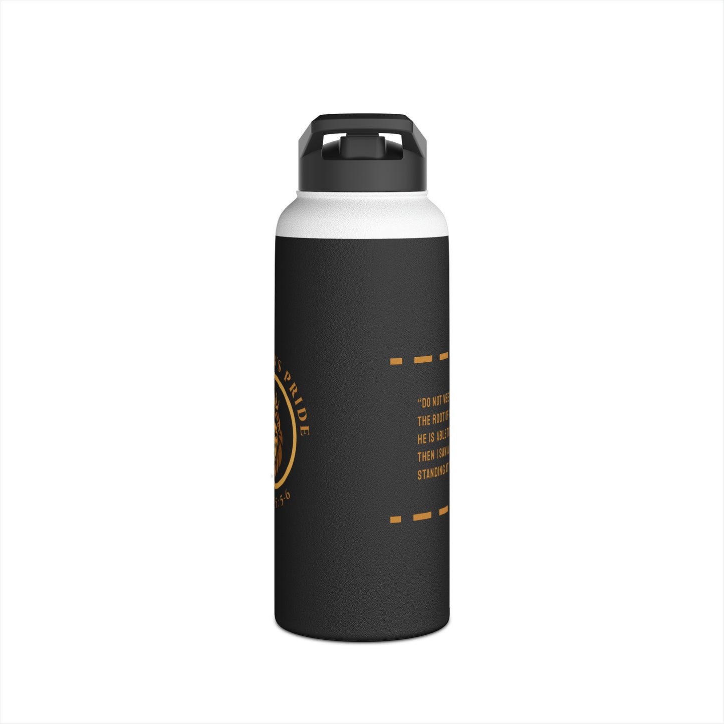 Stainless Steel Water Bottle, Standard Lid